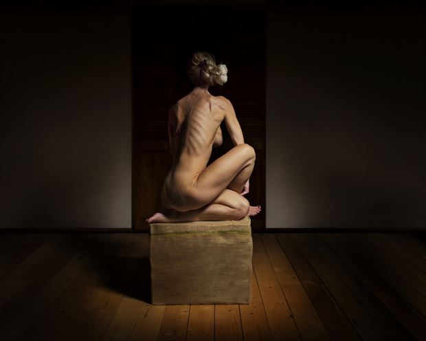 artistic nude studio lighting photo by photographer milchuk