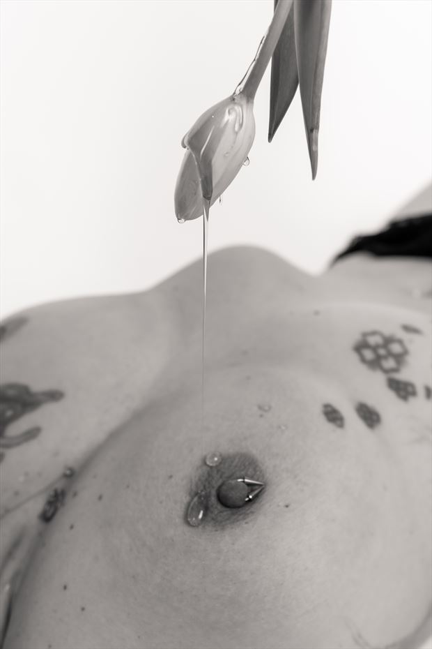 artistic nude tattoos artwork by model phoenix