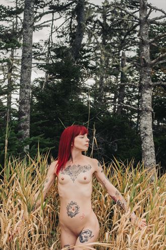 artistic nude tattoos photo by photographer colin pittman