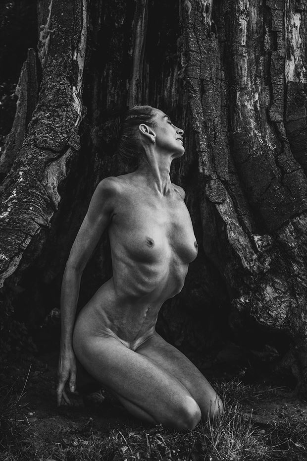 artistic nude vintage style artwork by photographer trebor draffups