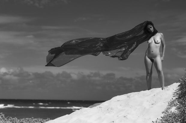 as the wind sweeps over the sand artistic nude photo by photographer opp_photog