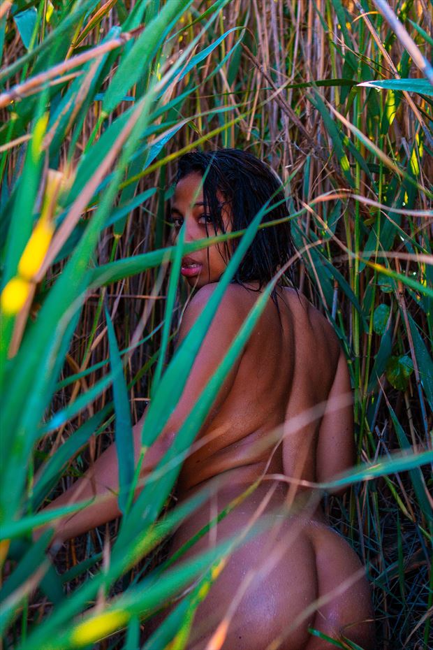 ash in the grass 2 artistic nude artwork by photographer jcb
