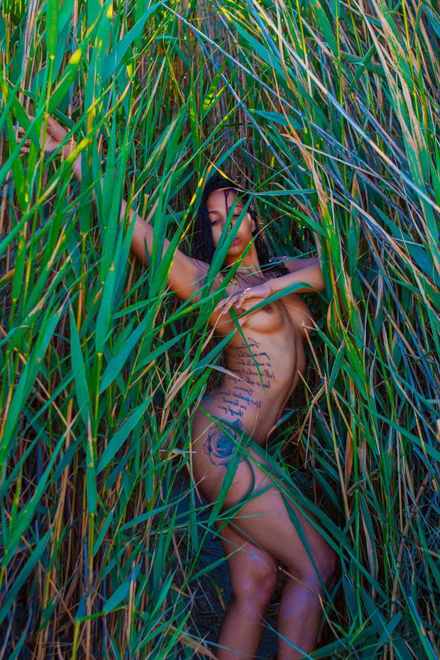 ash in the grass 3 artistic nude artwork by photographer jcb