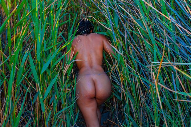 ash in the grass fantasy artwork by photographer jcb