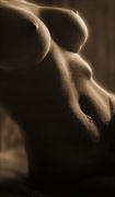ashley rose torso sepia artistic nude photo by photographer avant garde_art