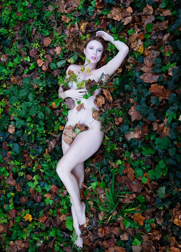 astrid nature photo by photographer kh photography