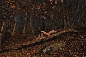 autumn artistic nude photo by photographer ajharter