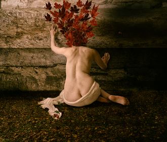 autumn comes to life artistic nude photo by photographer colin dixon