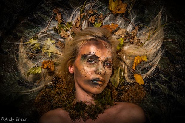 autumn gold fantasy photo by photographer greeneye