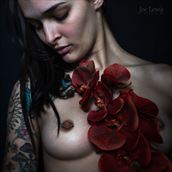 ayeonna dressed in red artistic nude photo by photographer joe lewis fine arts