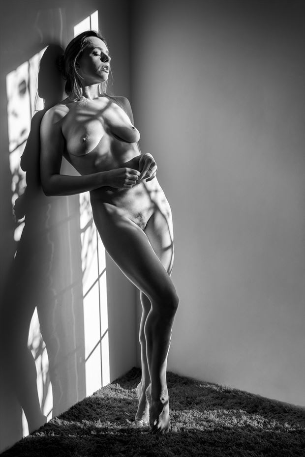 ayla rose at the window 3 artistic nude photo by photographer melpettit