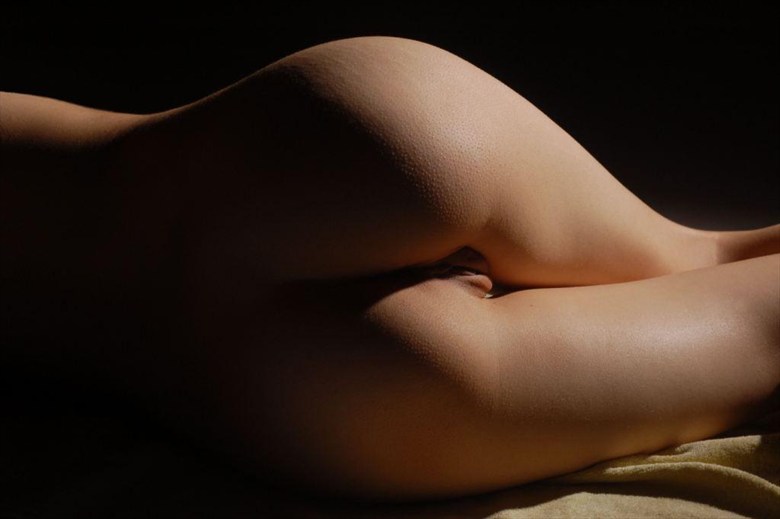 back detail Artistic Nude Artwork by Photographer joe barr