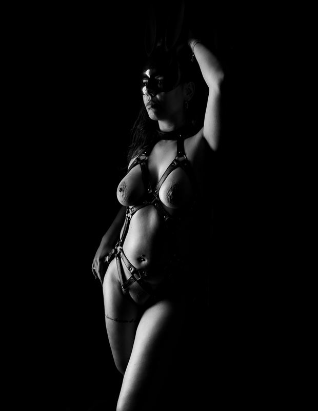 bad bunny artistic nude photo by photographer brown lotus photography