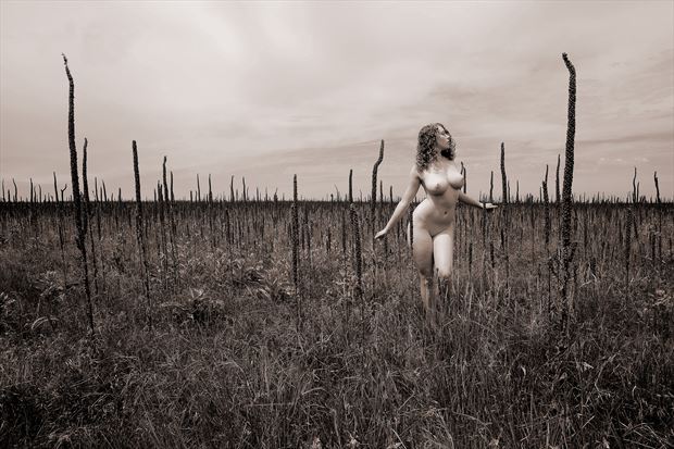 badlands national park sd artistic nude photo by photographer ray valentine