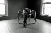 balance figure study photo by photographer werner lobert