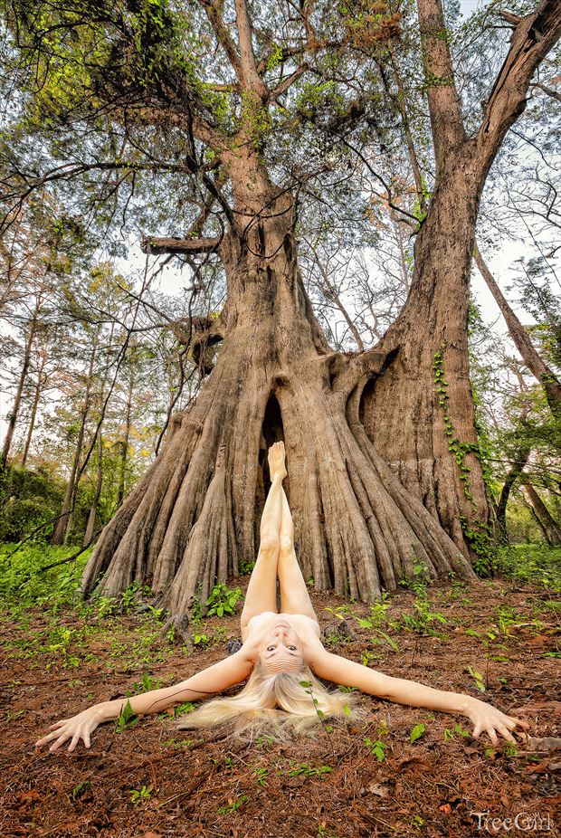 bald cypress spirit artistic nude photo by photographer treegirl