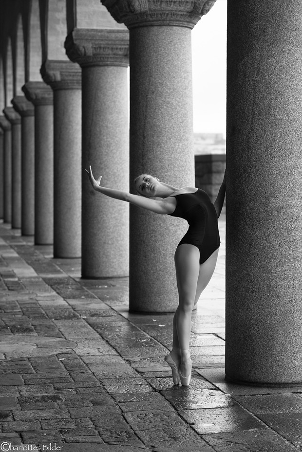 ballerina project 2013, session 2,1 Natural Light Photo by Photographer carincharlotte