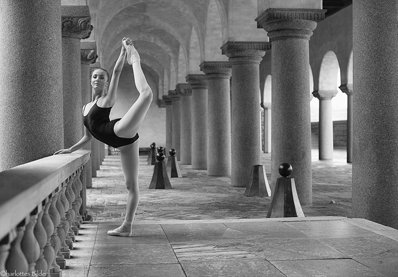 ballerina project 2013, session 2,2 Natural Light Photo by Photographer carincharlotte