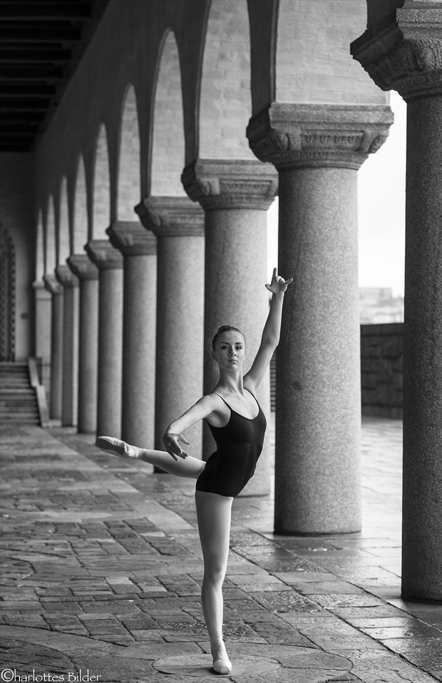 ballerina project 2013, session 2 Natural Light Photo by Photographer carincharlotte