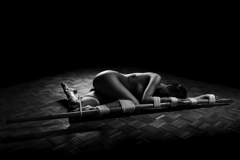 bamboo bondage artistic nude photo by photographer bodyscapes odermatt