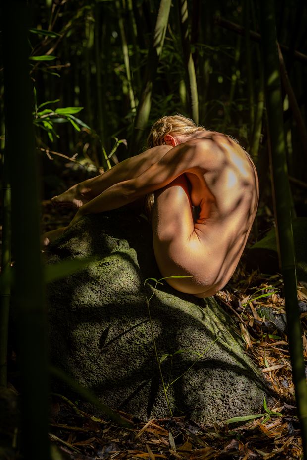 bamboo shadows artistic nude photo by photographer 808studioeros