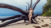 beach on the island Artistic Nude Photo by Photographer dml