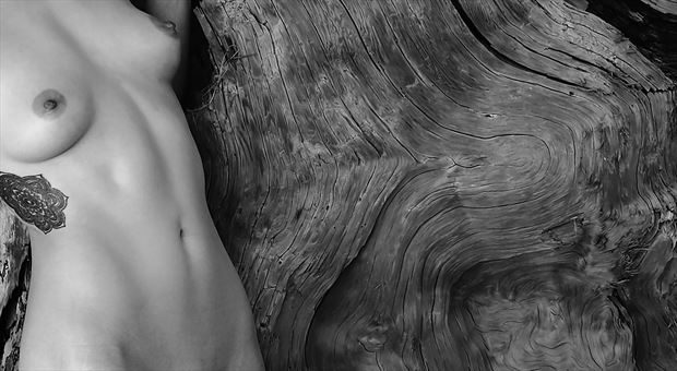 beach wood artistic nude photo by photographer mike 256