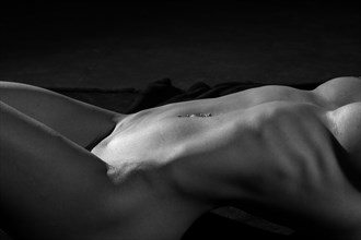 beautiful frm  Artistic Nude Photo by Photographer Revo