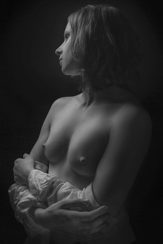 beautiful pewter artistic nude photo by photographer halflight