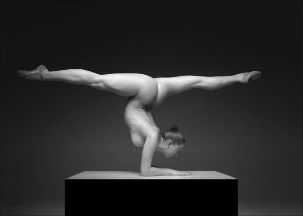 beauty and balance artistic nude photo by photographer bob walker pursley