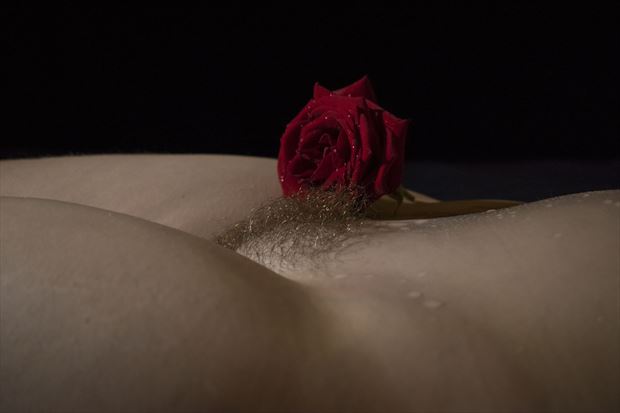 beauty and the rose artistic nude photo by photographer mick egan