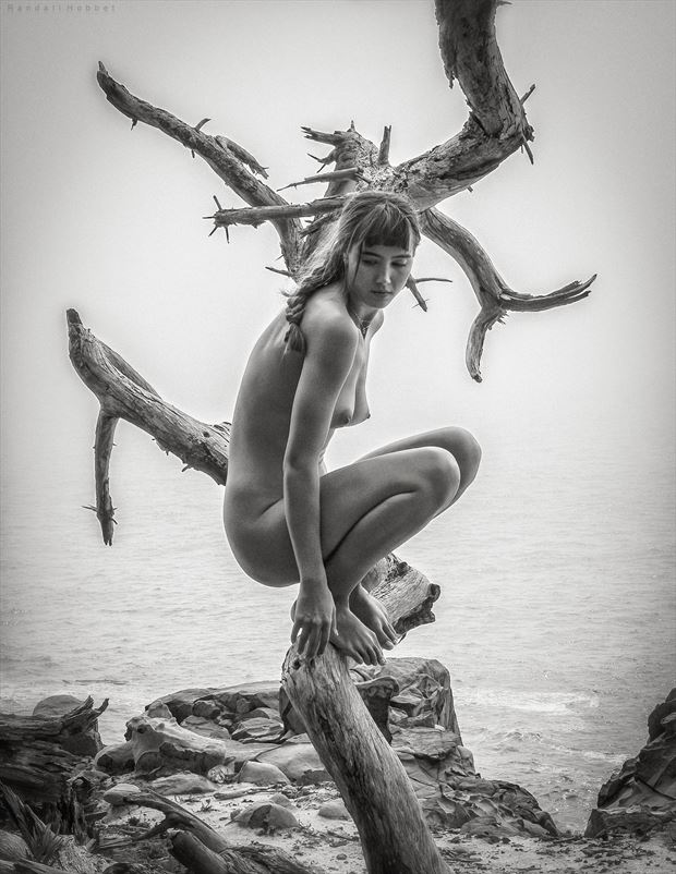 beauty in the balance artistic nude photo by photographer randall hobbet