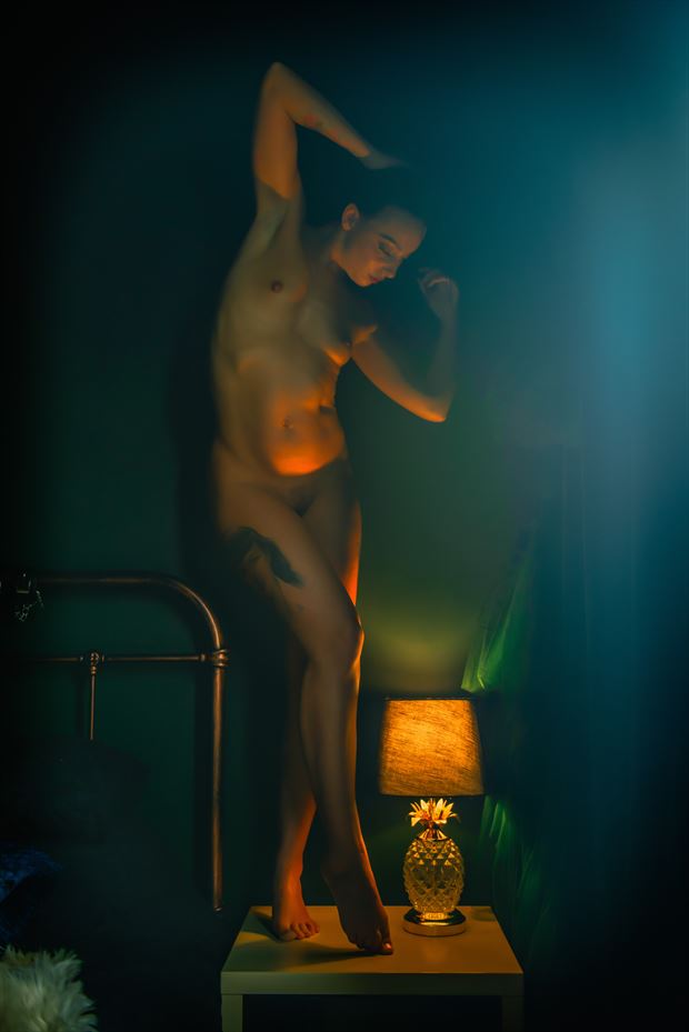 bedside manners artistic nude photo by photographer neilh