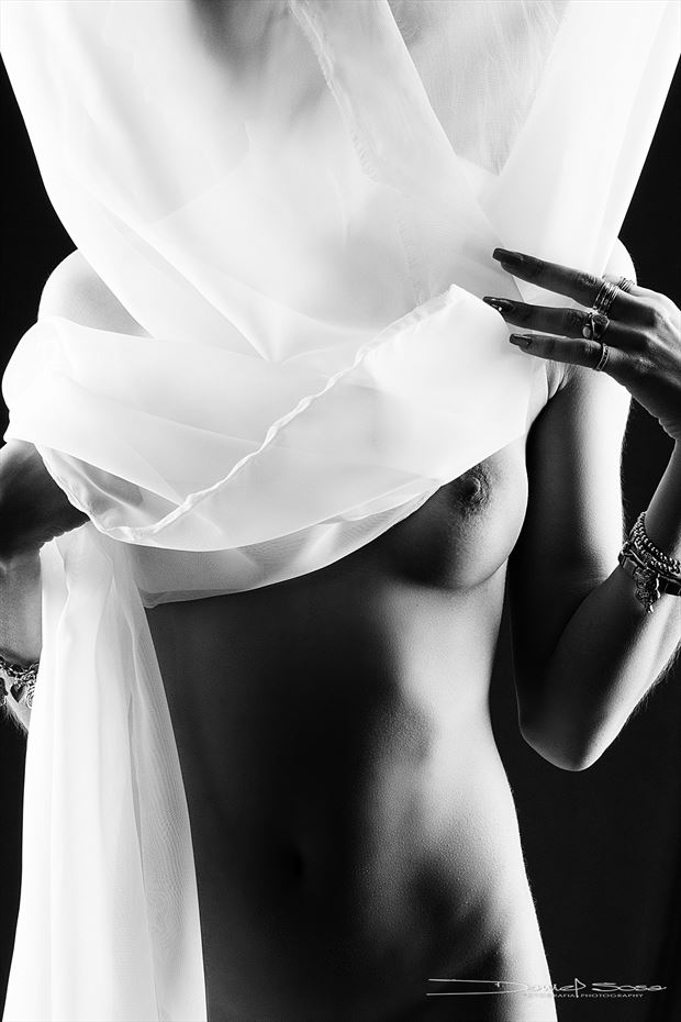 behind the curtain artistic nude photo by photographer hermanodani