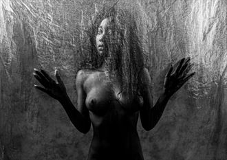 behind the veil artistic nude photo by photographer bo michal