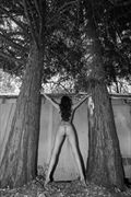 between the trees artistic nude photo by photographer amyxphotography