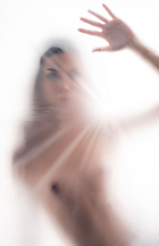 beyond the veil artistic nude photo by photographer zahndh23