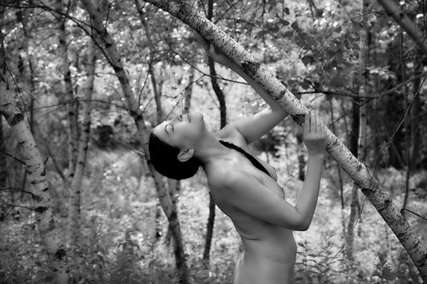 birch and vox artistic nude artwork by photographer daniel tirrell photo