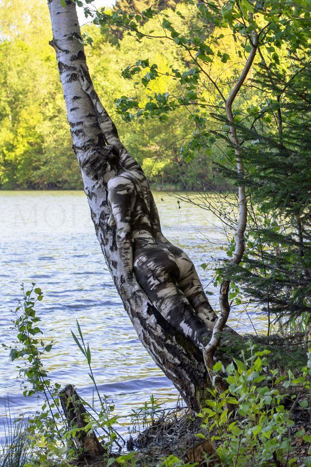 birchs at the pond artistic nude artwork by artist bodyart j d%C3%BCsterwald