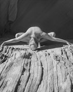 bird of paradise artistic nude photo by photographer jpatton_photography