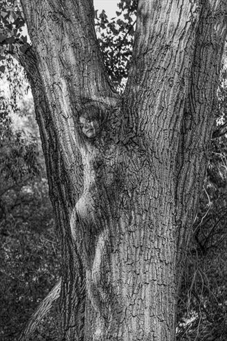 birth of a dryad artistic nude photo by photographer excelsior