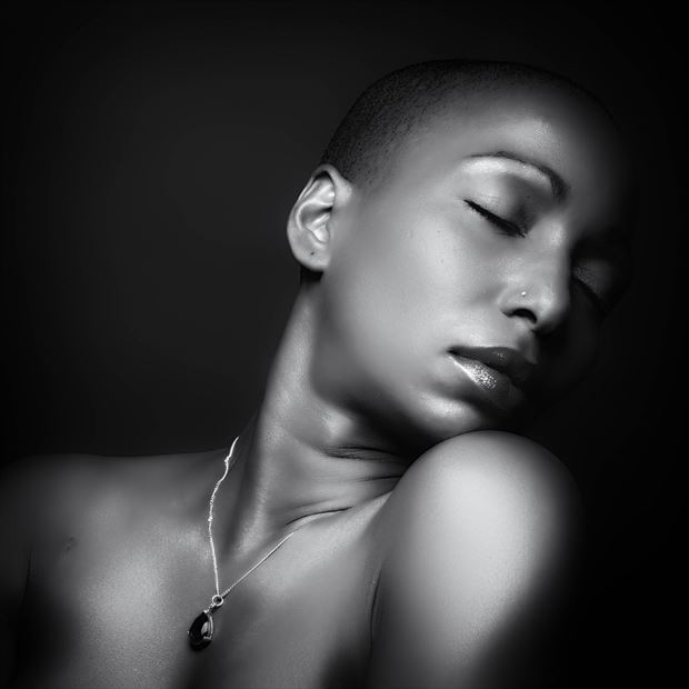black beauty portrait photo by photographer josjoosten