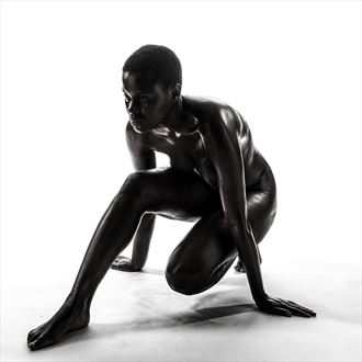 black shadow artistic nude photo by photographer steeljam
