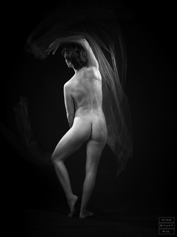 blaize 2020 artistic nude photo by photographer nicestuffpix