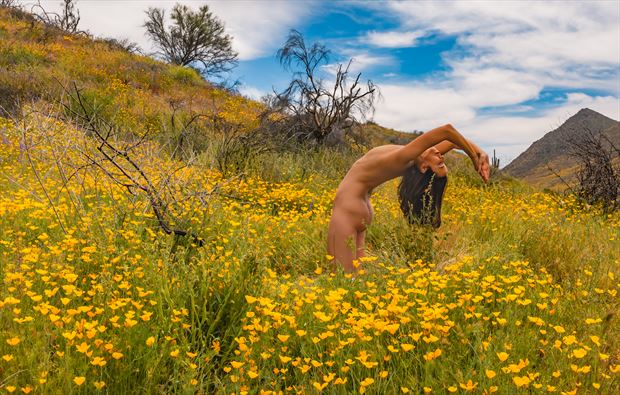 blooming poppies artistic nude photo by photographer bob j