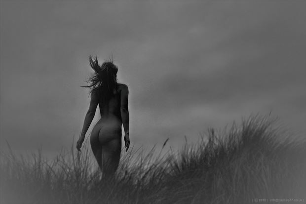 blowing in the wind artistic nude photo by photographer capture 77 images