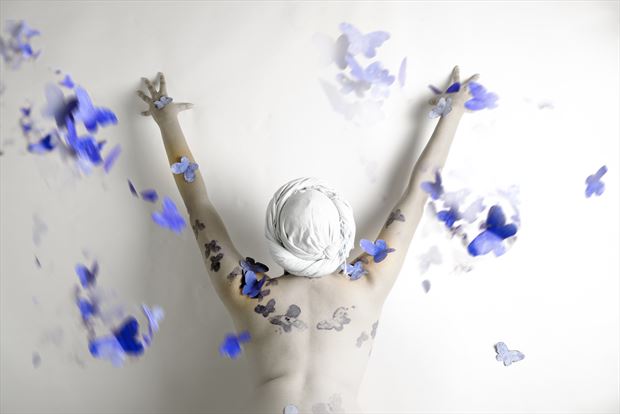 blue butterflies series 004 sensual photo by photographer redefining realism