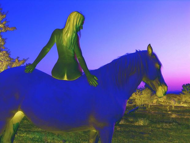 blue horse fantasy photo by photographer joseph auquier