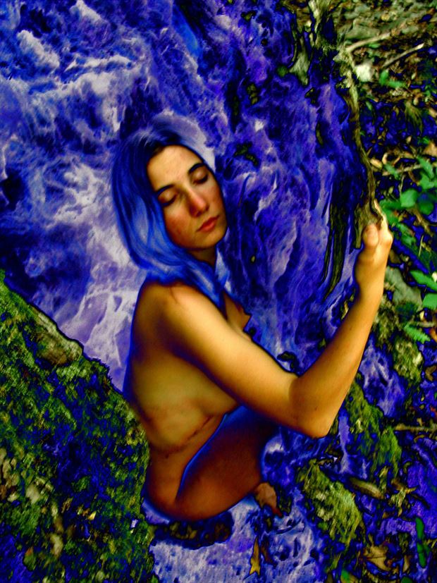 blue love tree surreal photo by photographer joseph auquier