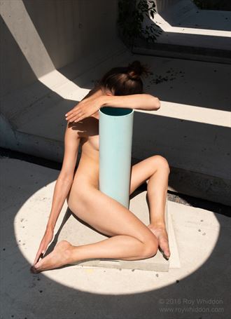 blue post artistic nude photo by photographer roy whiddon